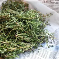 Koperek i majeranek to świetne zamienniki tymianku. Na zdjęciu świeże zioła, które dodadzą aromatu potrawom.