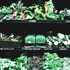 Co na obiad przy biegunce? Lekkostrawne przepisy, które pomogą