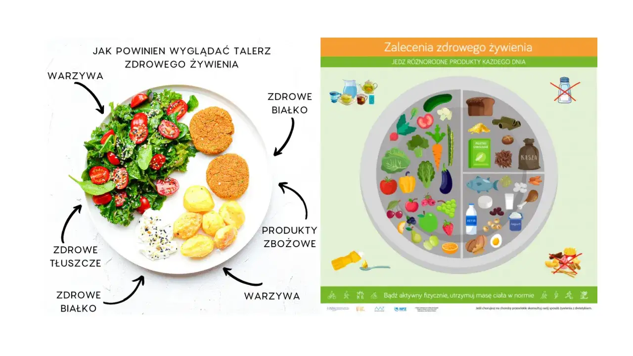 Talerz zdrowego żywienia: warzywa, zdrowe białko, produkty zbożowe, zdrowe tłuszcze. Dowiedz się, ile powinna ważyć porcja obiadowa.